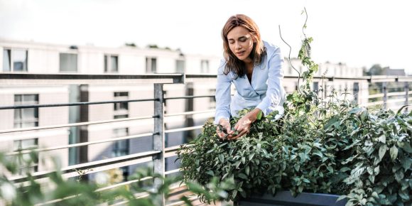 woman care about plants