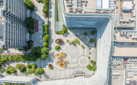 A man walks in the rich biodiversity of a pine forest