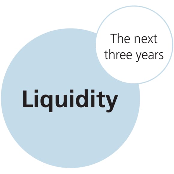 Liquidity – The next three years