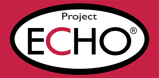 Project echo logo