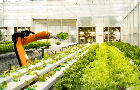 Robotic arm in field