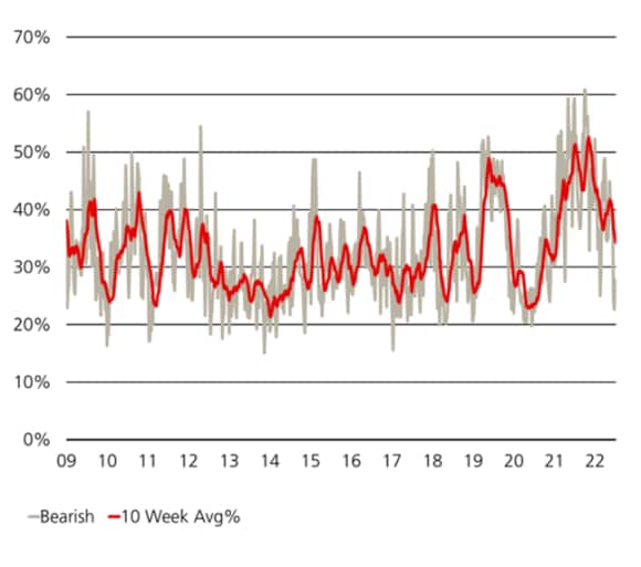 Liniendiagramme, die die Ergebnisse der Umfrage der American Association of Individual Investors zur Anlegerstimmung gegenüber dem Aktienmarkt zeigen, die bärisch sind