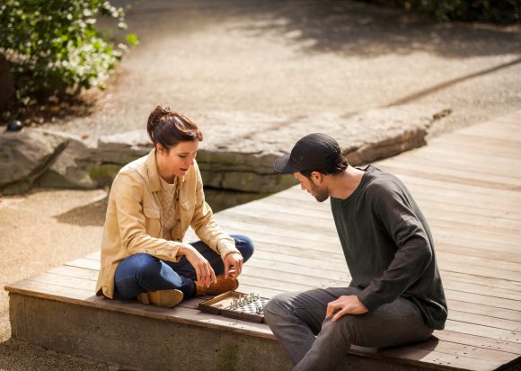 Un champ en fleurs au soleil.
