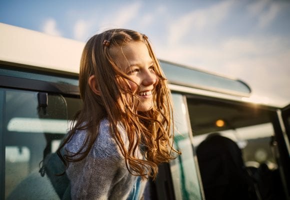 Un champ en fleurs au soleil.