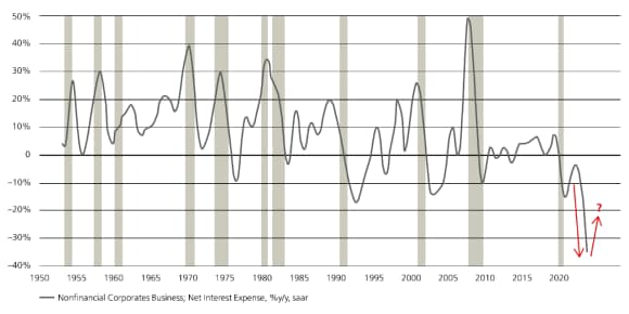 Net interest expense for non-financial companies.