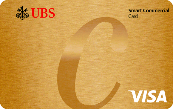 Visa Smart Commercial Card