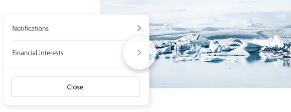 Finanzielle Interessen definieren