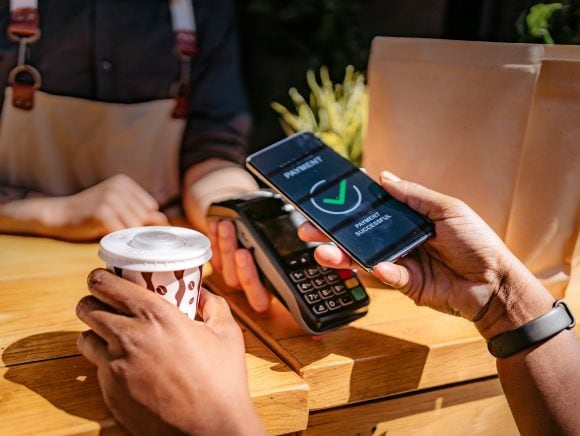 Un champ en fleurs au soleil.