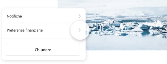Finanzielle Interessen definieren