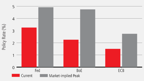 A bar chart showing current interest rates for the US Federal Reserve, Bank of England and the European Central Bank vs the market forecast for the peak.