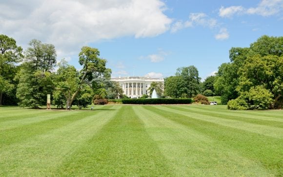 White House with lawn in summer