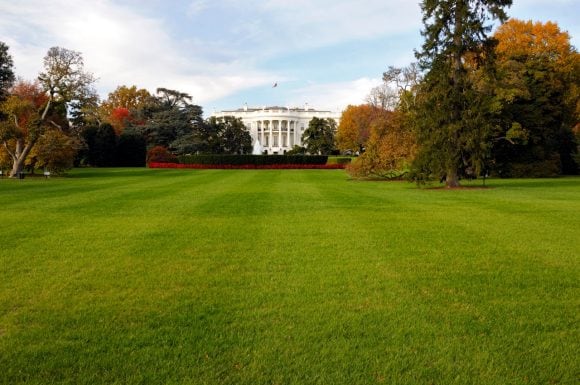 The White House in autumn