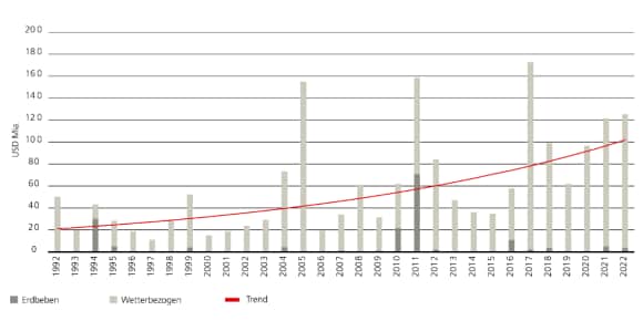 Balkendiagramm: Zunahme der versicherten Schäden aus globalen Naturkatastrophen von rund 50 Mrd. USD im Jahr 1992 auf rund 124 Mrd. USD im Jahr 2022 (zu Preisen 2022)