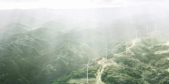 Windmühlen in einer Waldlandschaft. Neblig.