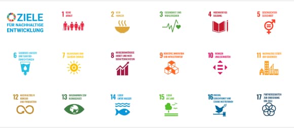 Sustainable Development Goals