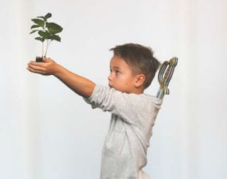 «Ich brauche Wälder, um Drachen zu jagen ...»