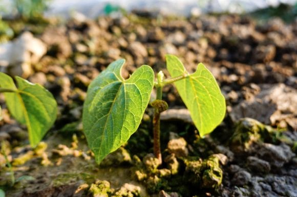 Preserve and Grow Your Wealth