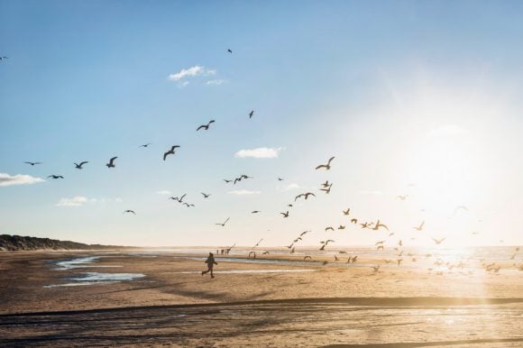 Boy chasing seagulls on beach