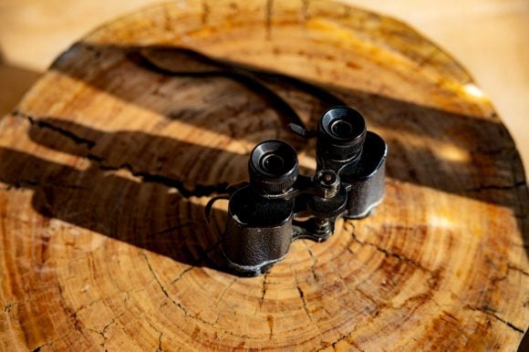 Pair of binoculars placed on a wooden surface