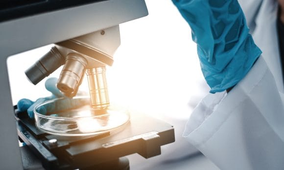 microscope