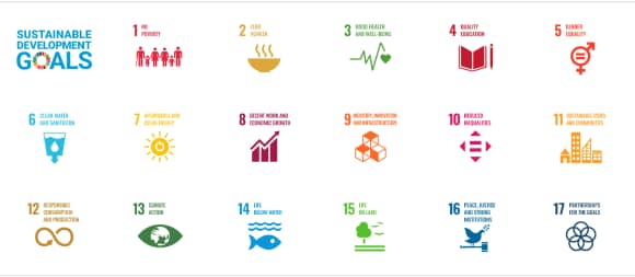 Sustainable Development Goals