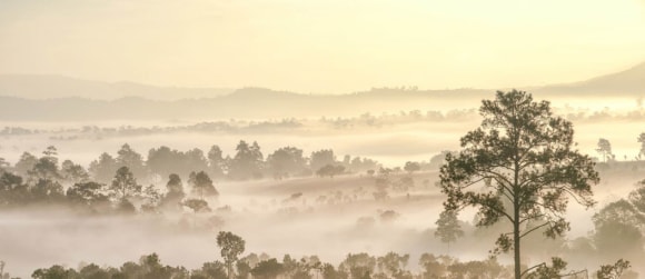 A foggy landscape with trees and hills