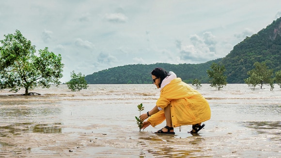 A woman on a mangrove beach is the cover of the UBS Sustainability Report 2023