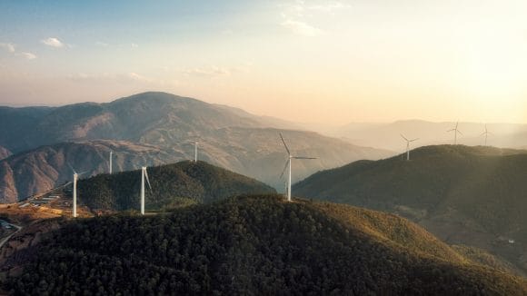 Green hockey sticks cover