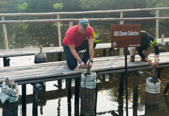 Tom planting seedling