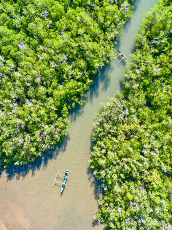 Aerial view of boats in a forest river