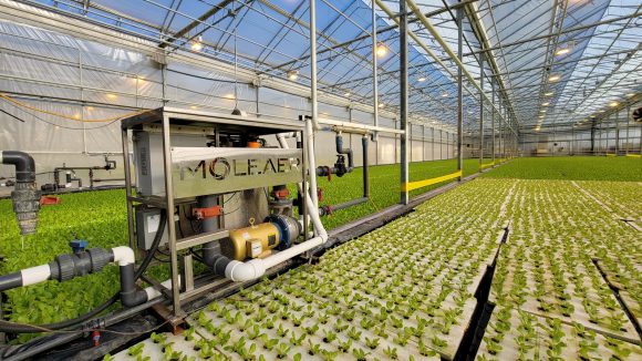 Neo installation greenhouse