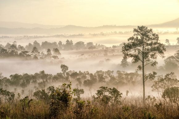 Woman in colourful traditional dress standing on a train platform as a train speeds past