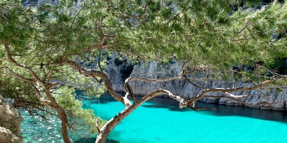 Coastline, shrubs and cyrstal blue waters of the mediterranean sea