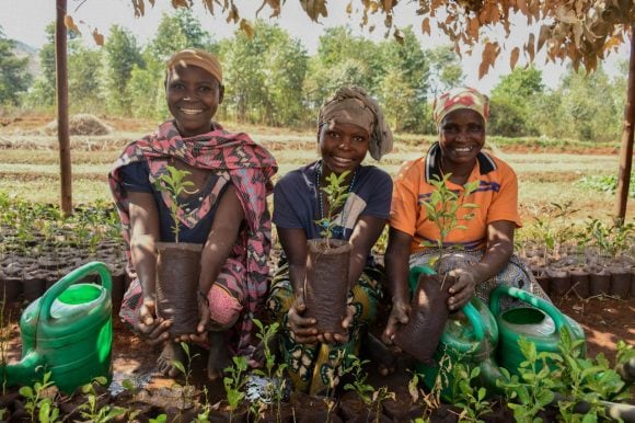 A group of women planting trees