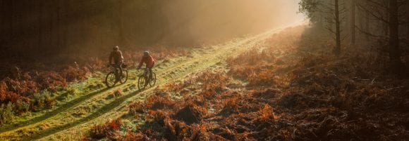 Philanthropy Insights and Experiences