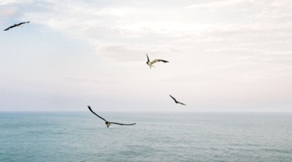 Faith and Philanthropy