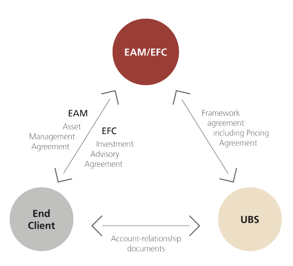 Figure explaining External Asset Manager / External Financial Consultant (EAM/EFC)