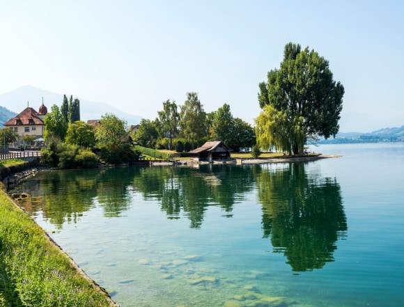 House near lake