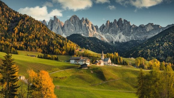 Alpine Property Focus