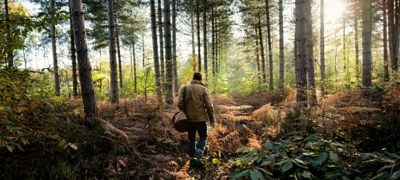 Un hombre camindando en un bosque