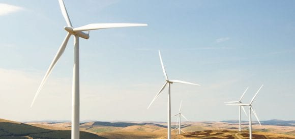 Tartaruga a caminho do mar. Esse relatório fala de governança ambiental, social e corporativa.