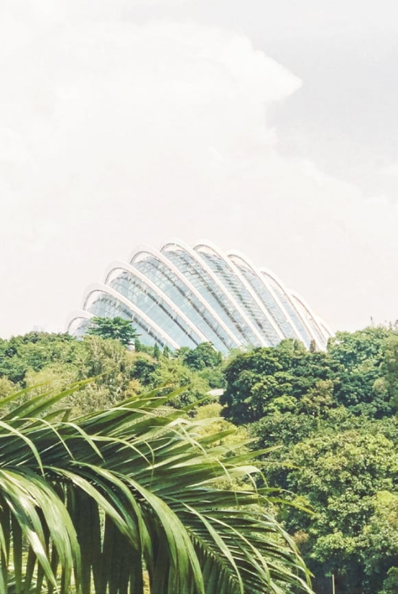 Una estructura en medio de una zona boscosa