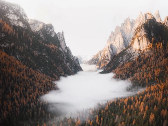 Image for Sustainability