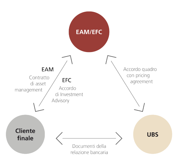 Figure explaining External Asset Manager / External Financial Consultant (EAM/EFC)