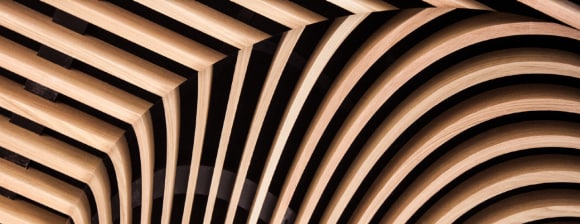 Quali sono le prospettive della crescita?