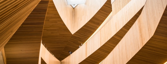 Quali sono le prospettive della crescita?