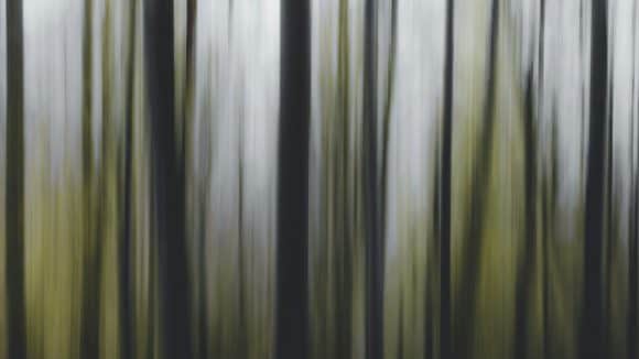 Linhas verticais abstratas em verde e branco, efeito de movimento