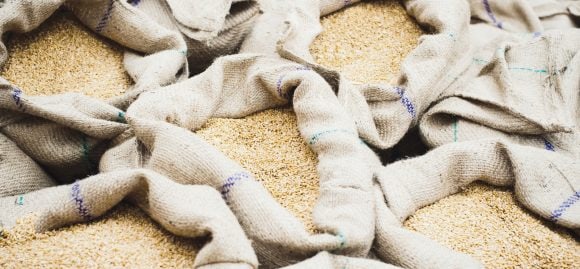 Sacos abertos de trigo