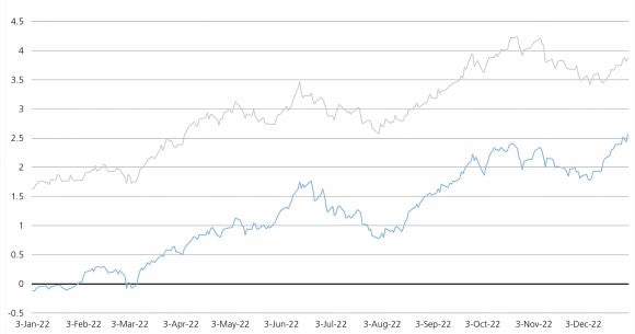 Fluctuations of 10-year US Treasury bond yields and 10-year German bond yields in 2022