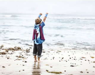 «... und lebende Ozeane, um den grossen weissen Hai zu finden.»